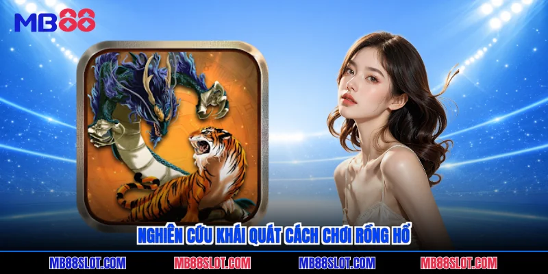 Nghiên cứu khái quát cách chơi Rồng Hổ
